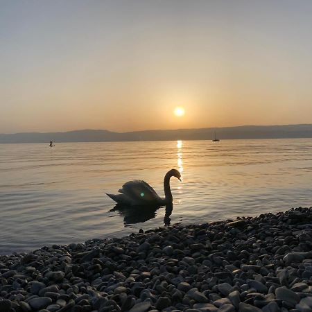 Chez Mat Bed and Breakfast Thonon-les-Bains Exterior foto
