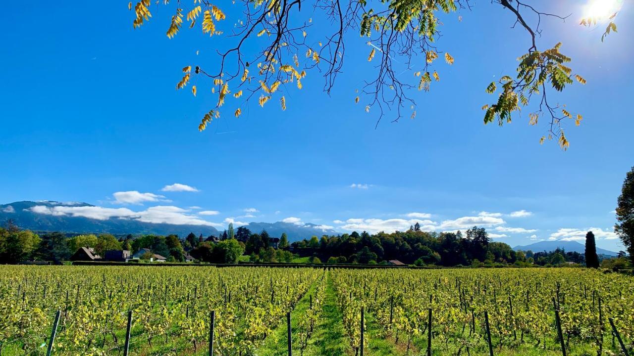 Chez Mat Bed and Breakfast Thonon-les-Bains Exterior foto